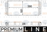 Radiator, engine cooling - 8MK 376 792-601