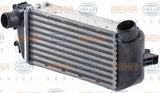 BEHR INTERCOOLER Fits FIAT 500 C312 1.3D 07-09 8ML 376 900-421/8ML376900421